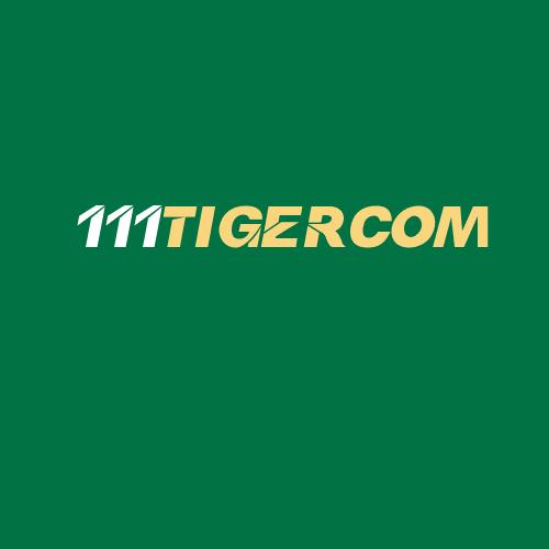 Logo da 111TIGERCOM